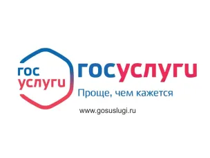 На Госуслугах создан сервис, который позволяет заполнить заявление на прием в первый класс