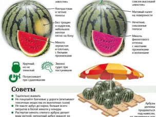 Как правильно выбрать арбуз?