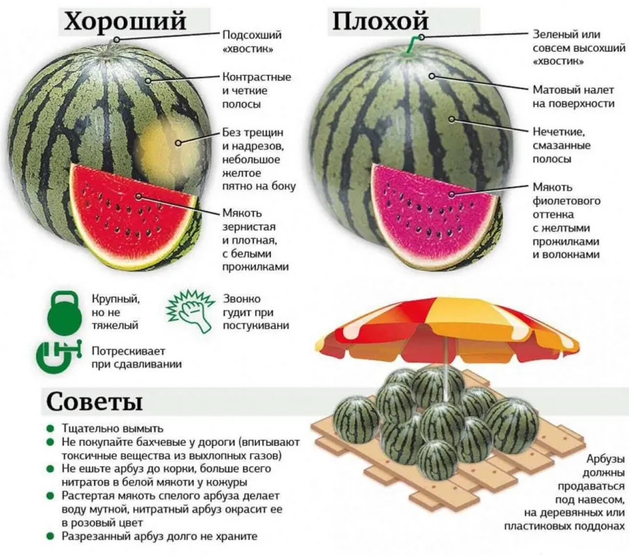 Как правильно выбрать арбуз?