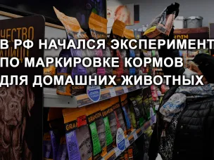 Вниманию предприниматели!