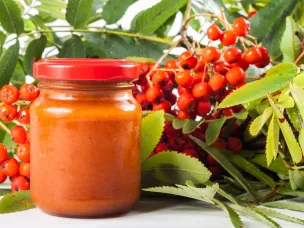 Рябина поможет при простуде