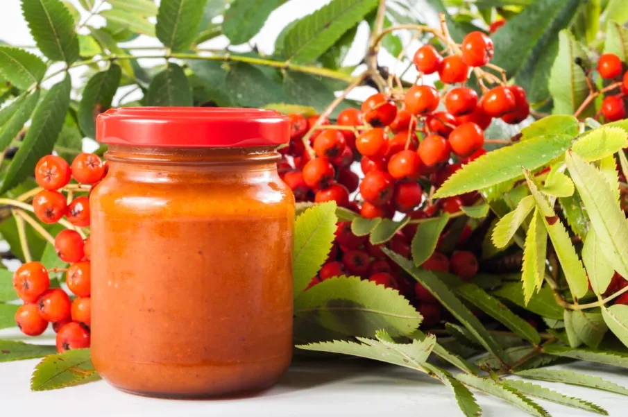 Рябина поможет при простуде