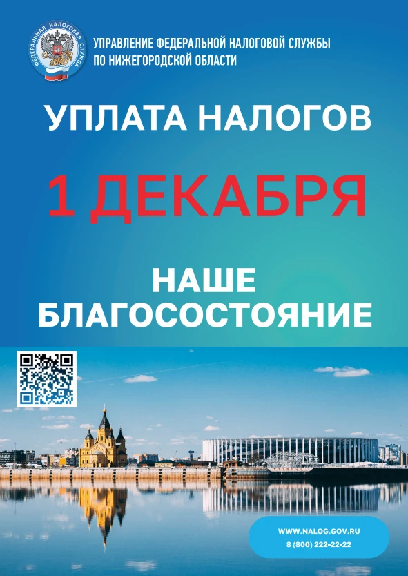 Важно не забыть оплатить налоги до 1 декабря ☝