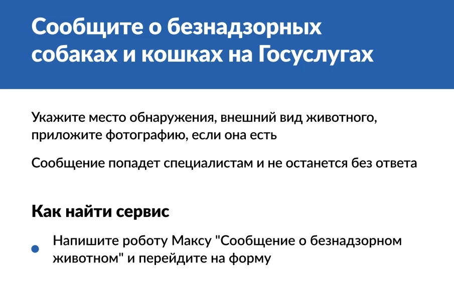 На «Госуслугах» запущен новый сервис, который позволяет оперативно передавать информацию о безнадзорных кошках и собаках.