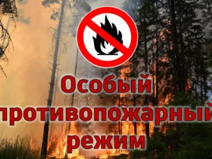 Особый противопожарный режим в Нижегородской области