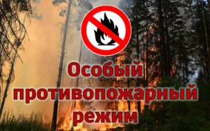 Особый противопожарный режим в Нижегородской области