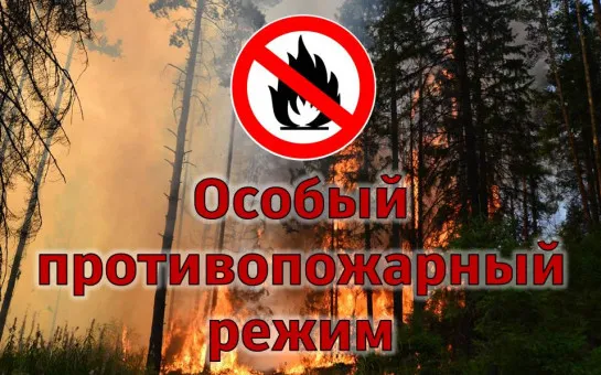 Особый противопожарный режим в Нижегородской области