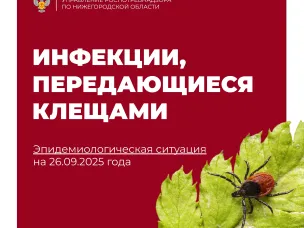 Инфекции, передающиеся клещами