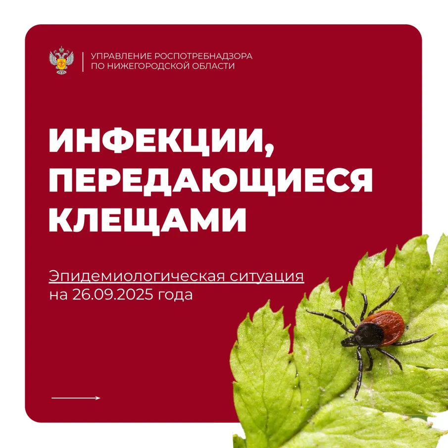 Инфекции, передающиеся клещами