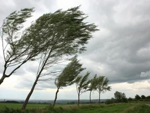 Ожидается усиление юго-западного ветра