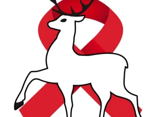 Информация для населения о ГБУЗНО «НОЦ СПИД»