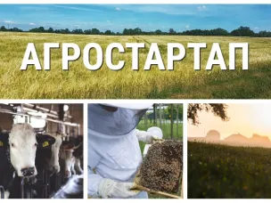 Информация о проведении конкурсного отбора заявителей в целях предоставления из областного бюджета грантов «Агростартап» на реализацию проектов создания и (или) развития хозяйства в форме субсидии