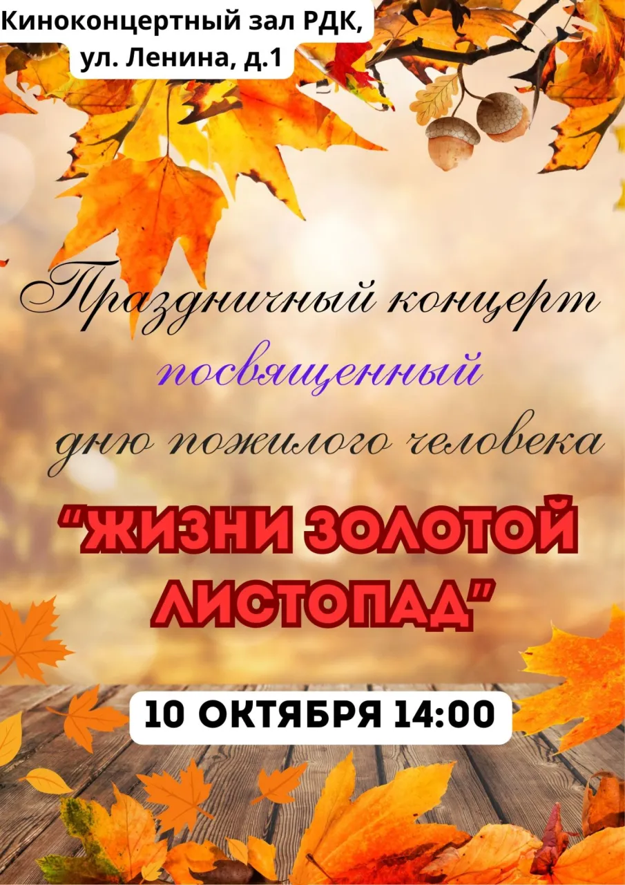 Праздничный концерт, посвященный Декаде пожилого человека