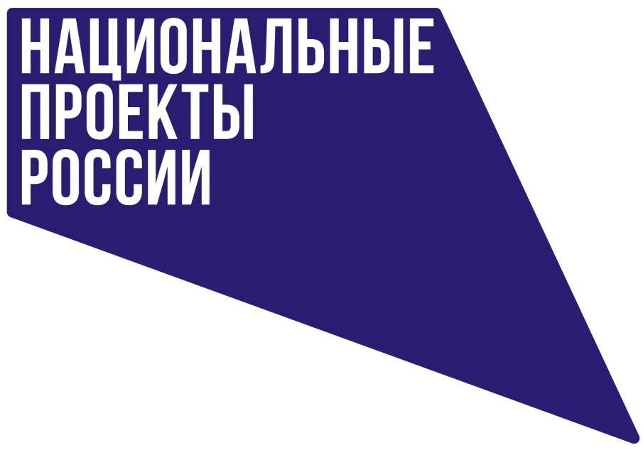Национальные проекты: развитие России в цифрах и фактах