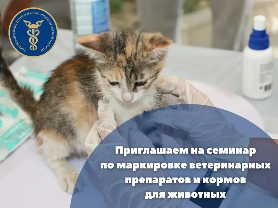 Обучающий семинар по маркировке ветеринарных препаратов и кормов для животных на базе регионального центра «Мой бизнес»