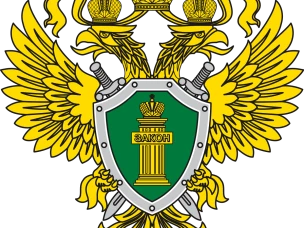 Прокуратурой Вознесенского района