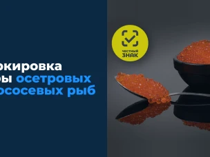 Внимание руководитель!