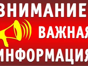 Информация по несанкционированной торговле цветами