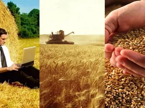 Внимание конкурс