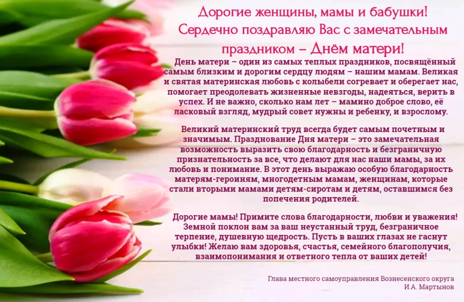 Поздравление главы местного самоуправления Вознесенского округа Ивана Мартынова с Днем матери